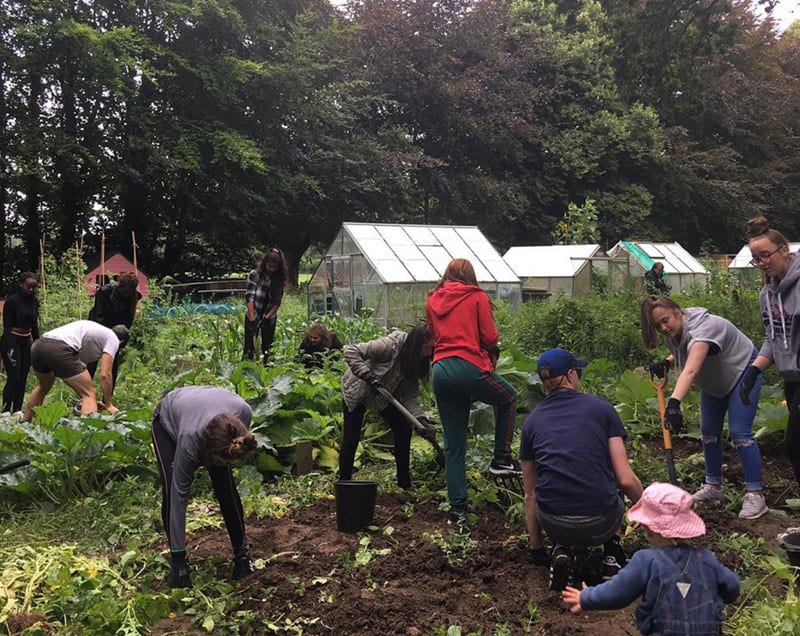 Activities Activities